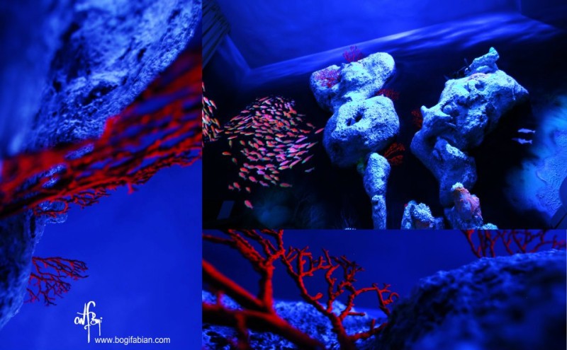  фосфоресциращи рисунки по стените 