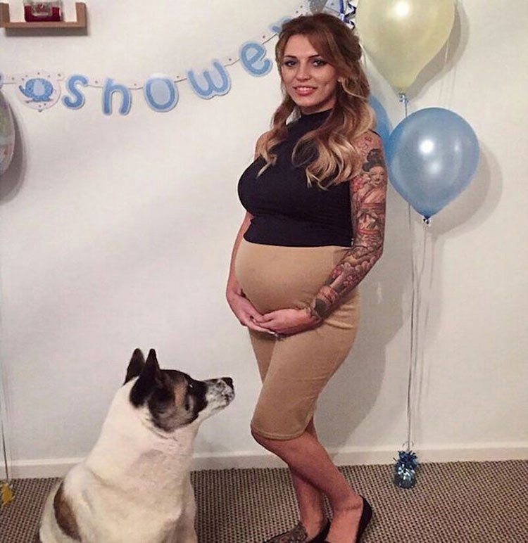 кучето установило бременността ѝ