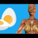 9 неща, които ще се случат с тялото ви, ако изядете 2 яйца на закуска