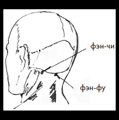 Точка ветра. Точка vb20 - фэн-чи. Фэн чи и фэн фу. Точка фэн-фу расположение. Фэн чи точка акупунктуры.