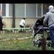 Бебето на Лора Крумова