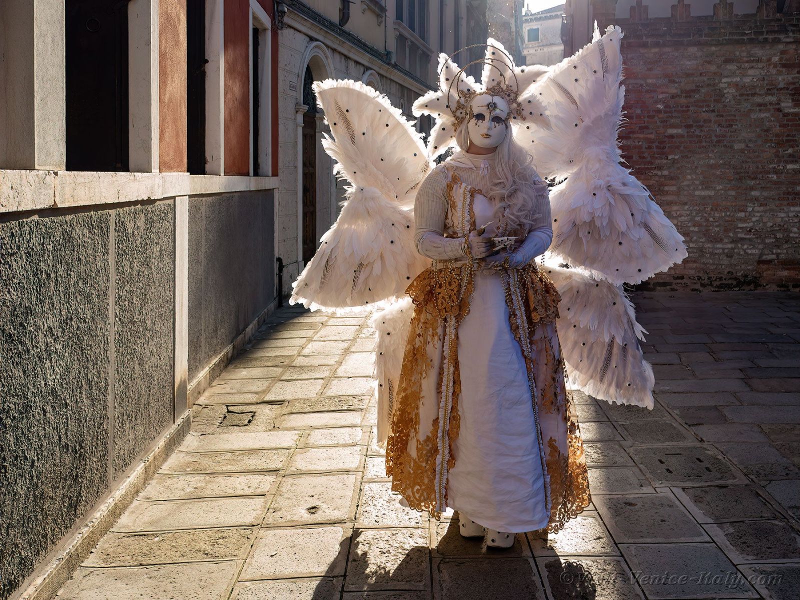 костюм на ангел Венеция