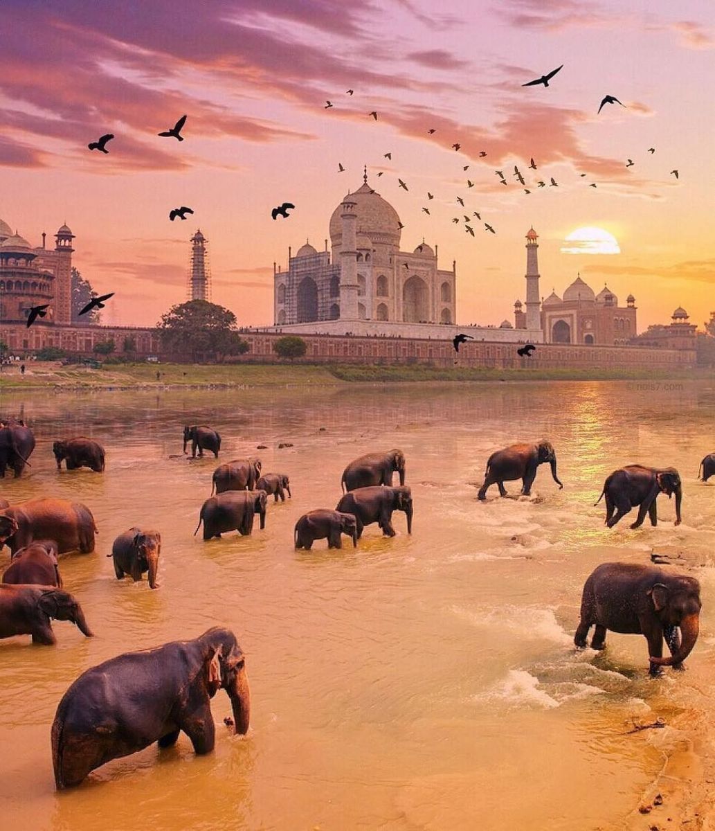 Индия красива природа