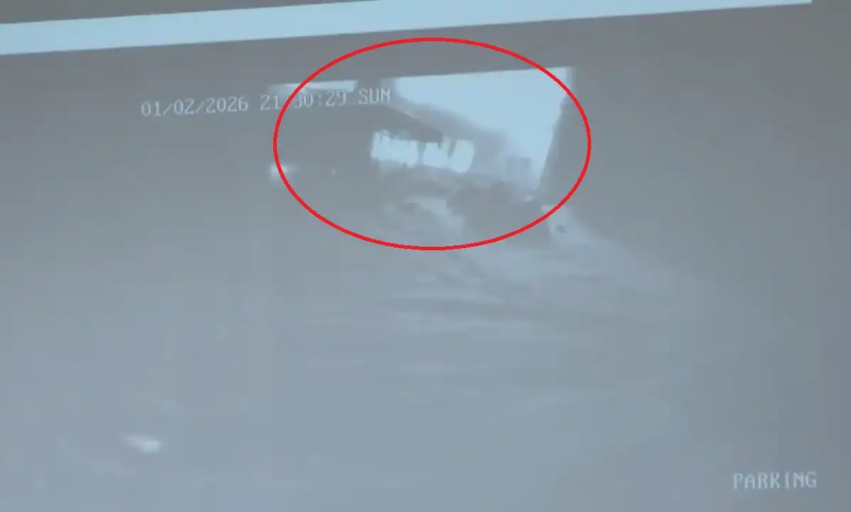 камери Петрохан