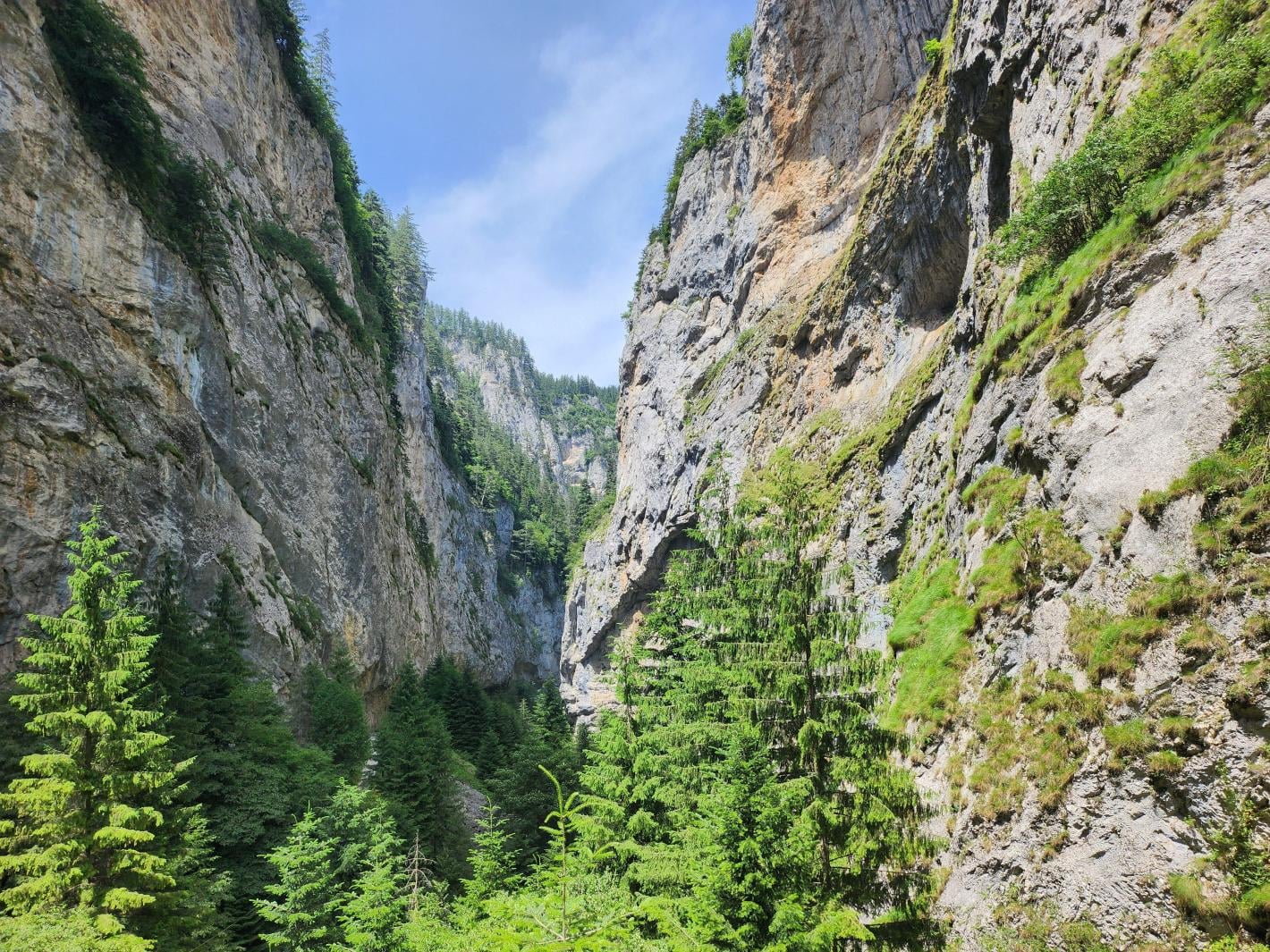 каньон Триград