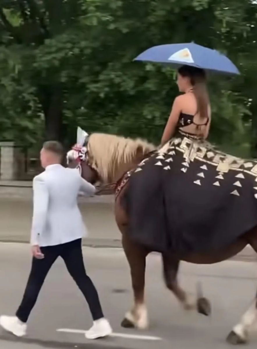 на бала на кон