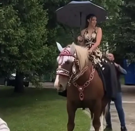 абитуриентка на кон