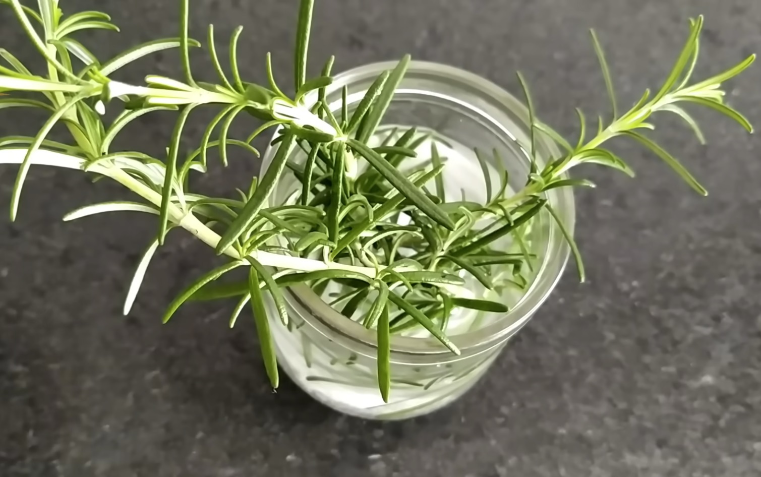 резници във вода