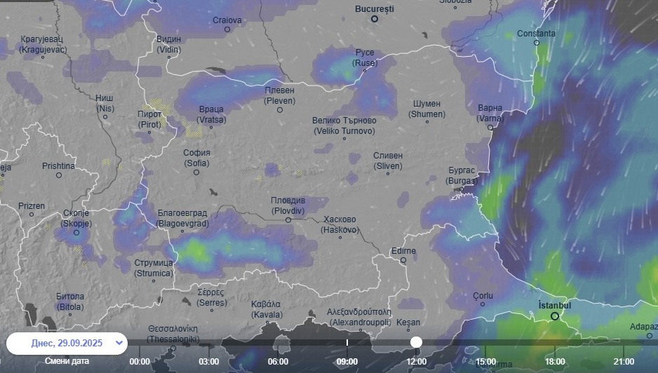 карта валежи НИМХ