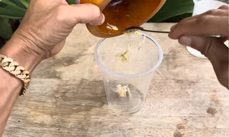 счукан чесън