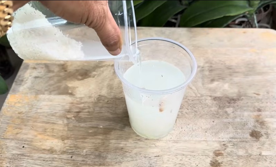 оризова вода с чесън