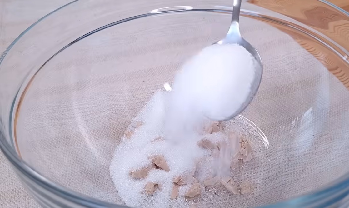 захар и мая