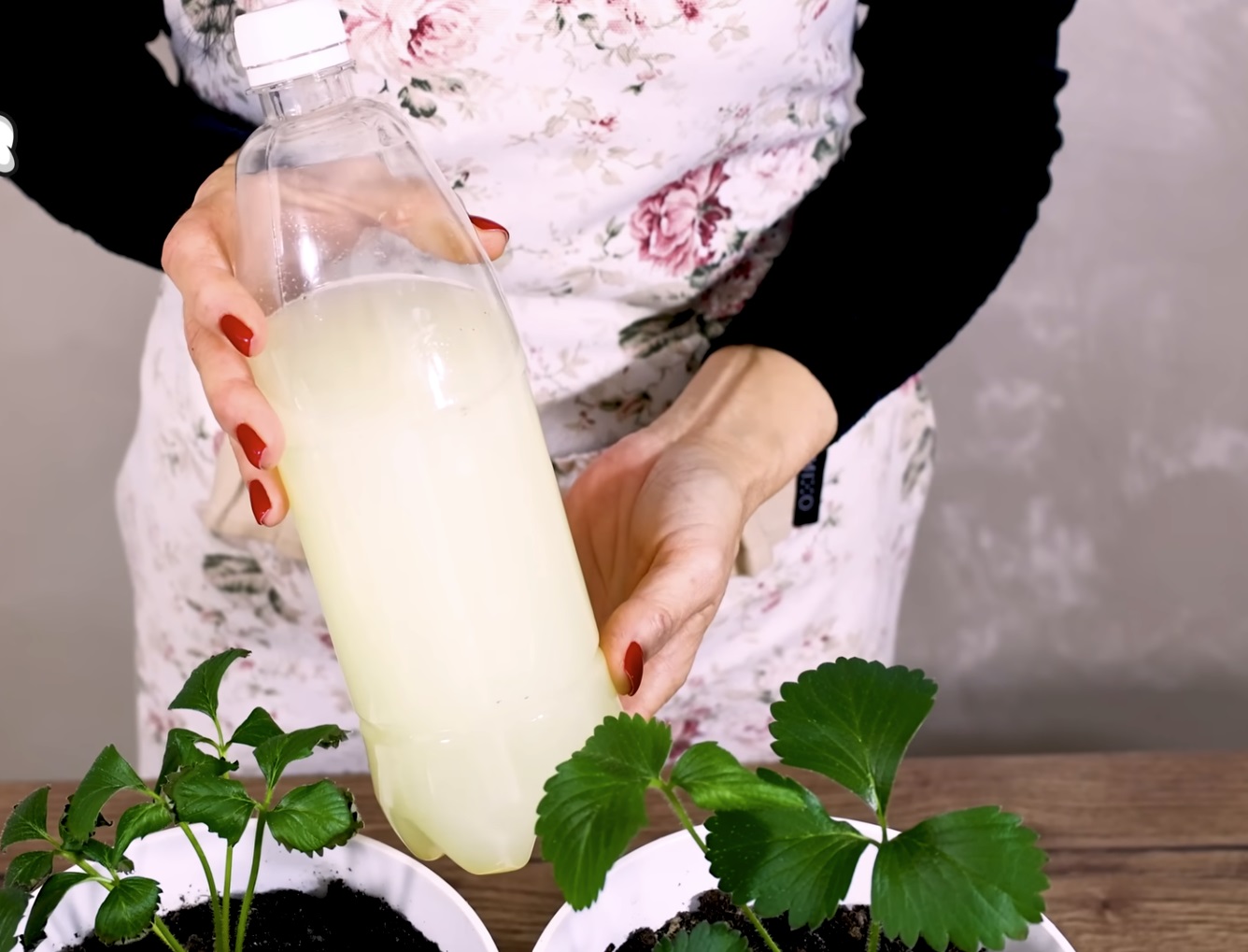 натурален тор в бутилка