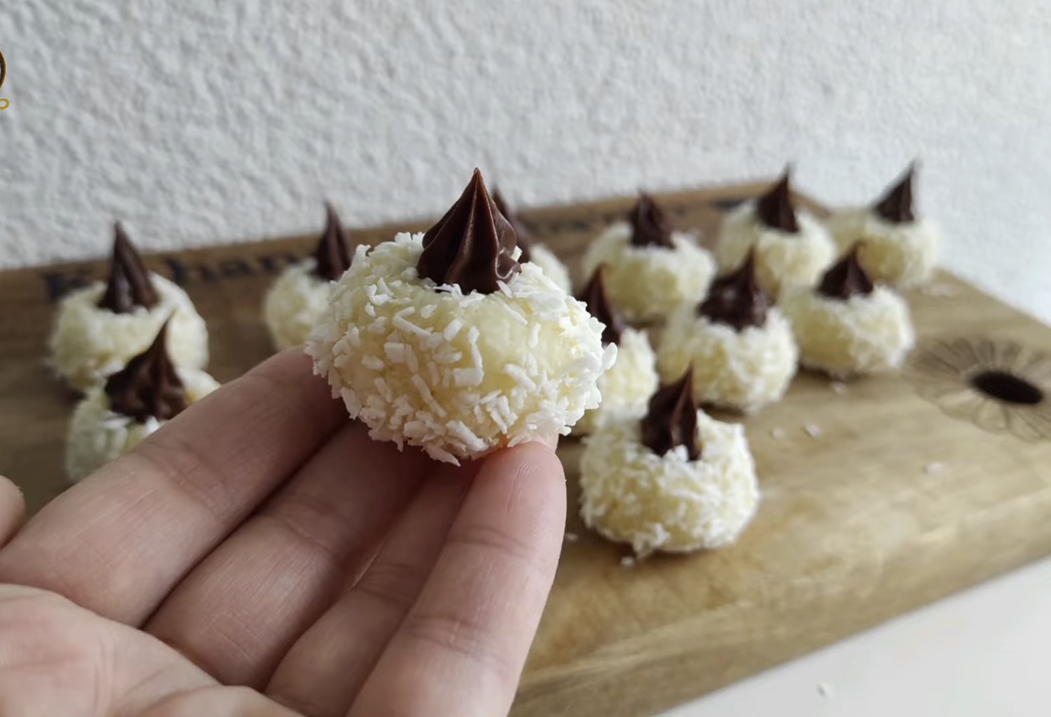 кокосови гнезда