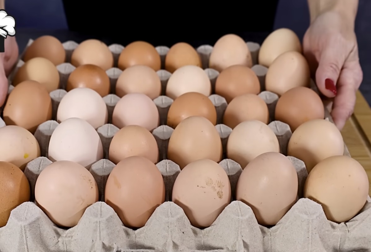 кора с яйца