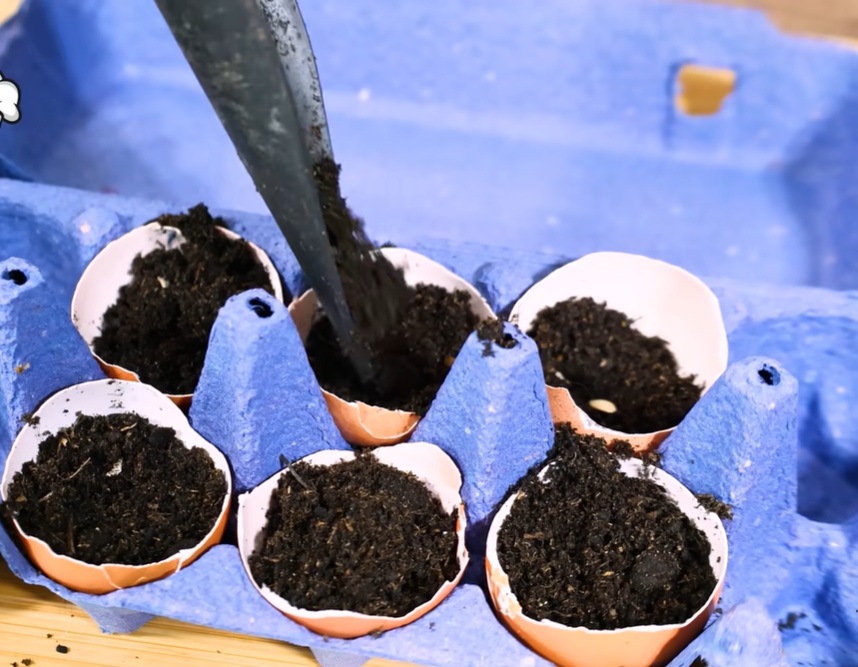 почва в черупки