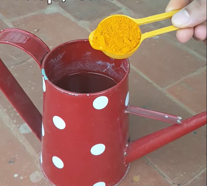 куркума във вода