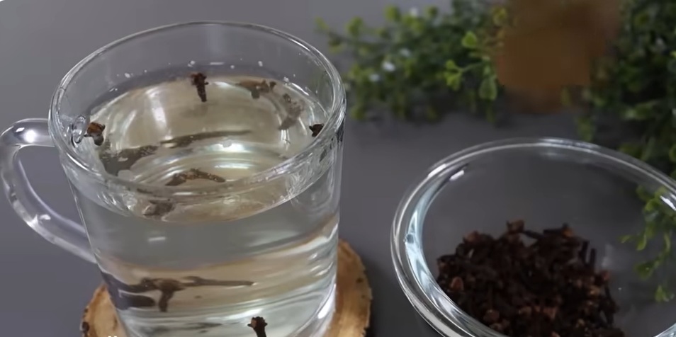 карамфил във вода