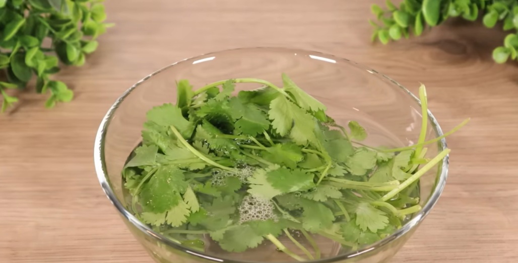 магданоз във вода