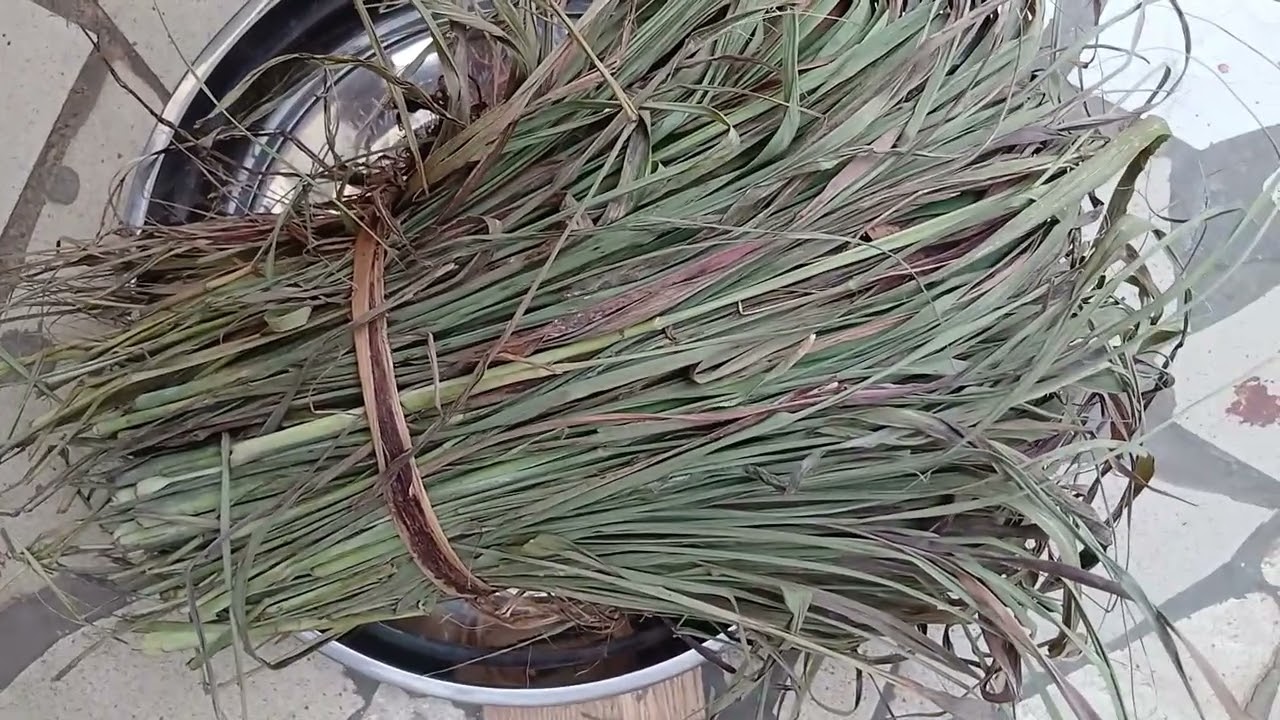 сушена лимонена трева