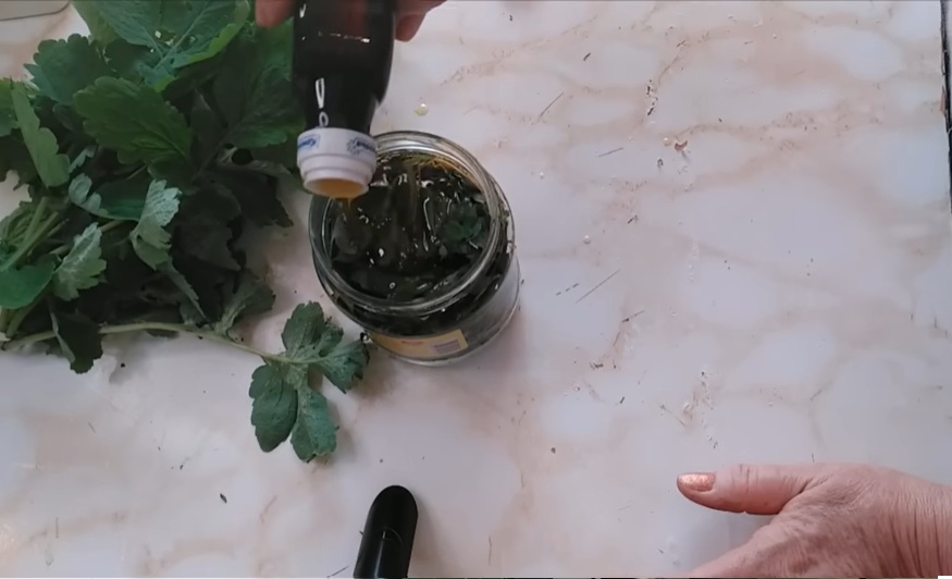 змийско мляко в олио