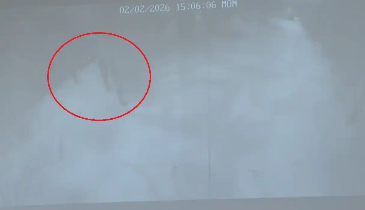 пристигане Калушев Петрохан