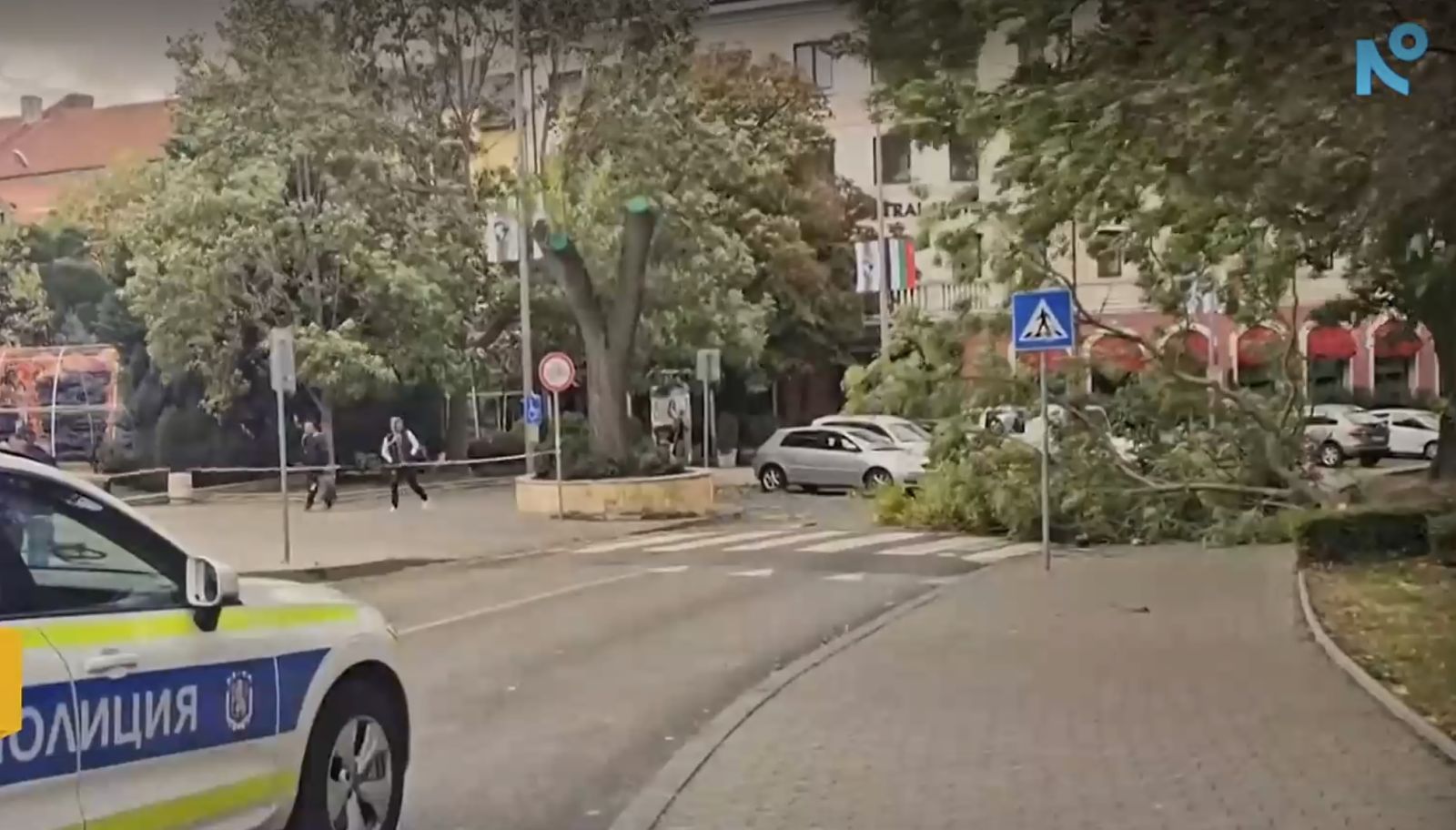 паднали дървета