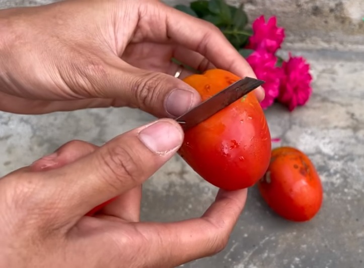 рязане домат