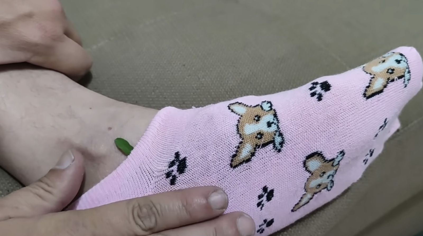 чорап със салвия