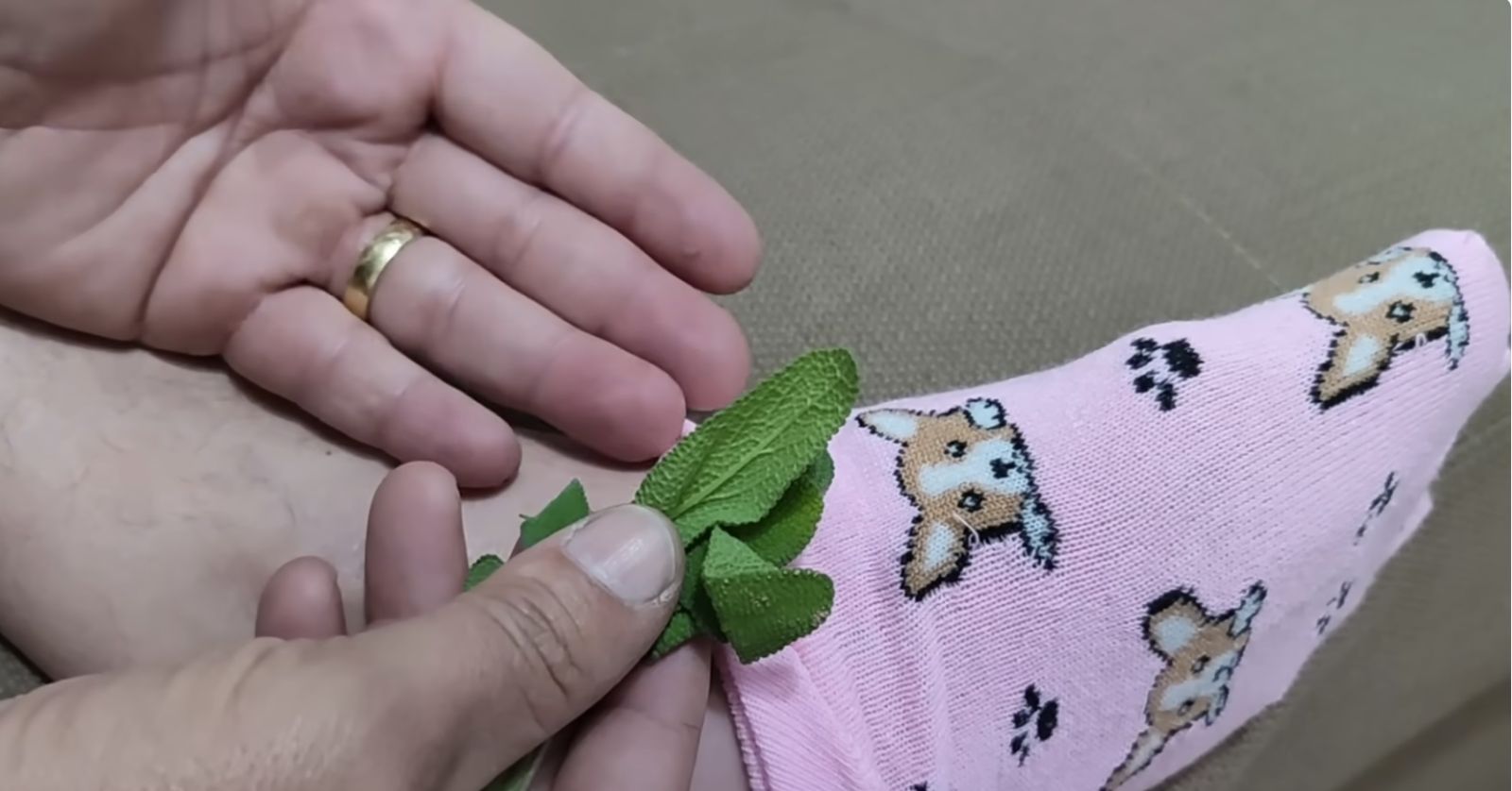 салвия и чорап възпалнеие