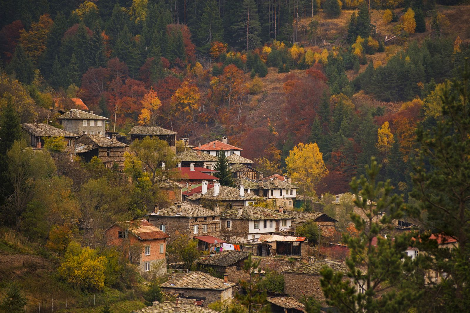 село Ситово есен