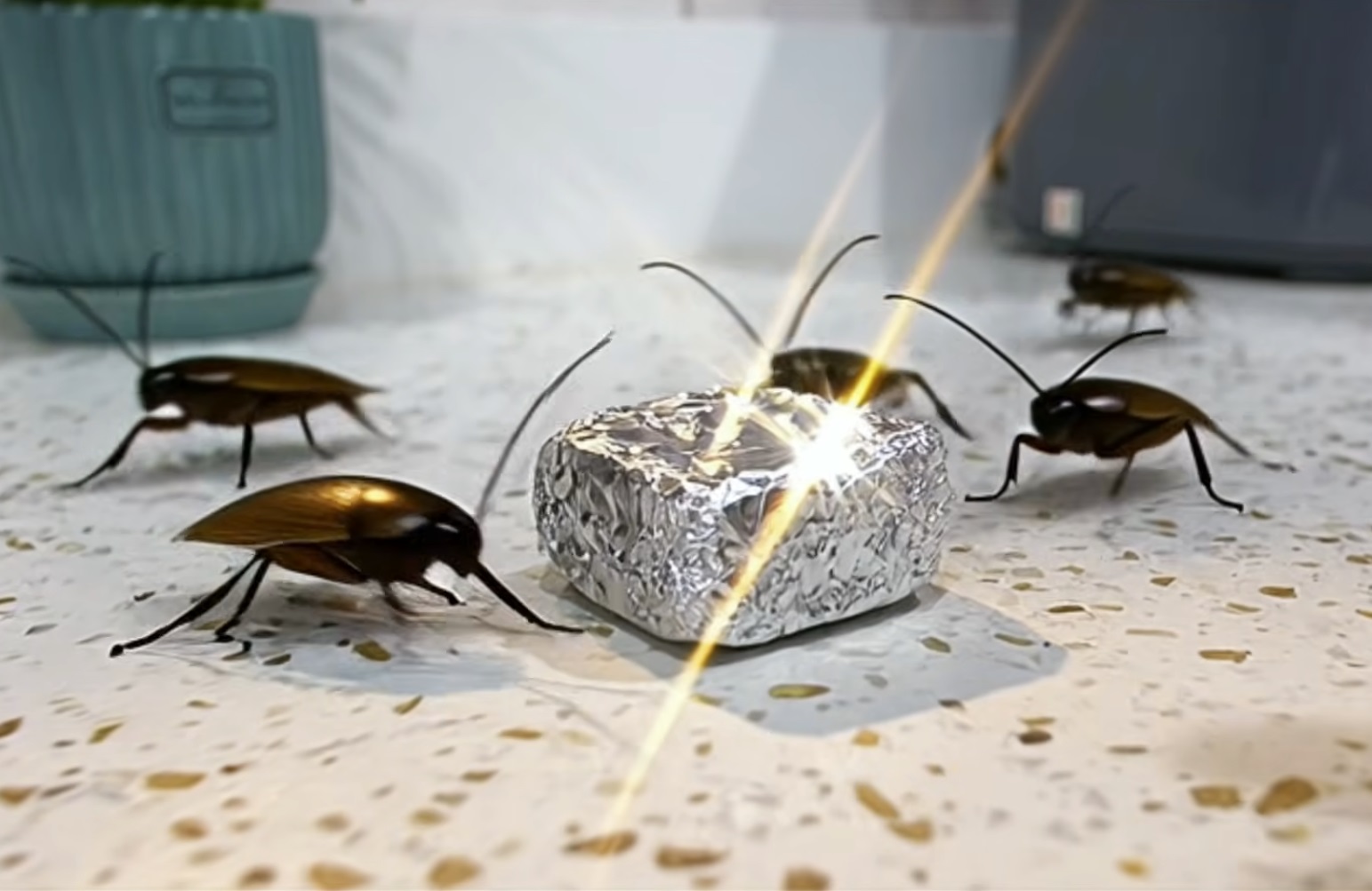 фолио срещу хлебарки