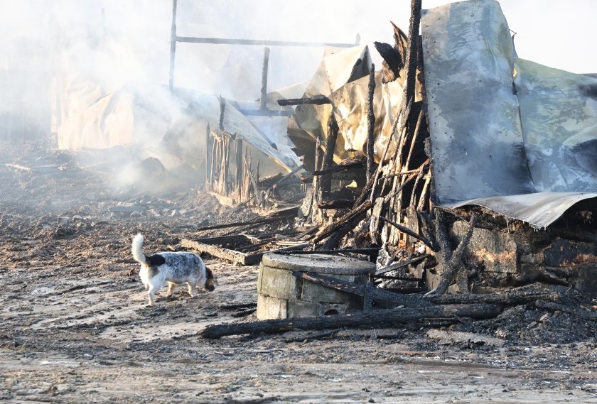 Фанагория пожар