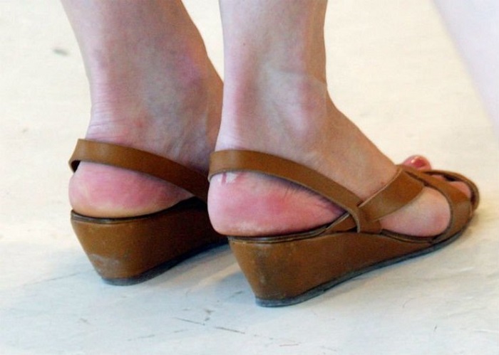  краката на звездите 