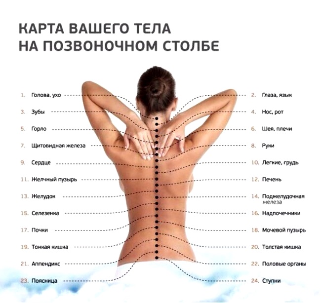 карта на тялото на гръбнака