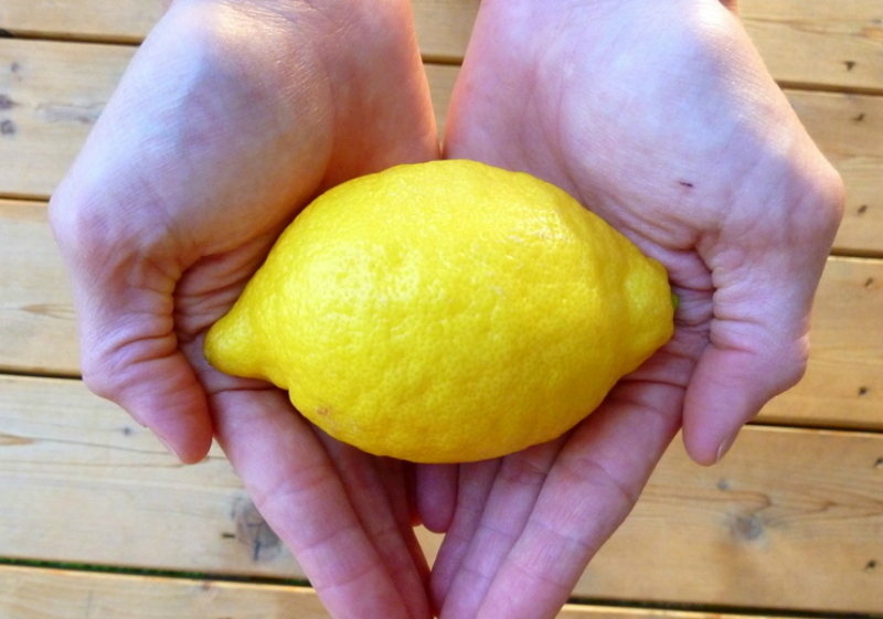 лимонова кора в готвенето