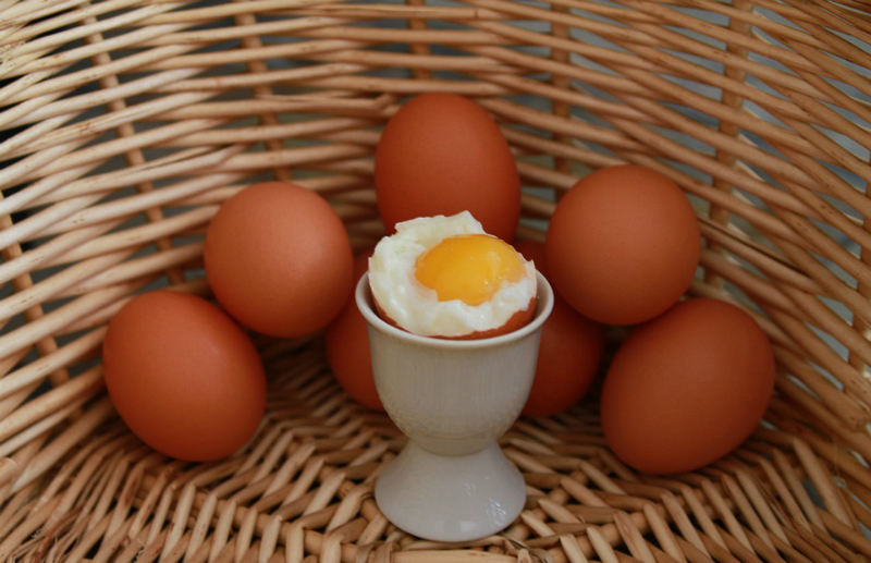 ползите от хапването на яйца