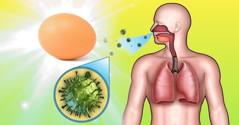 лечение на кашлица с яйце