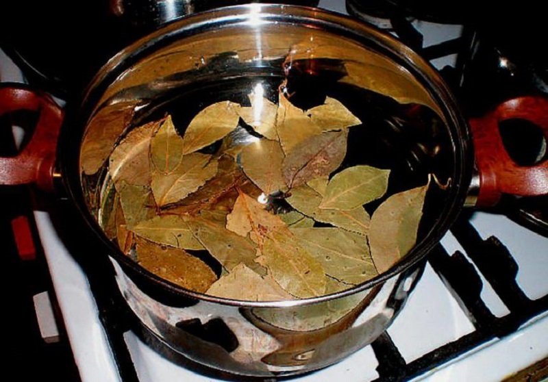 дафинов лист в тенджера