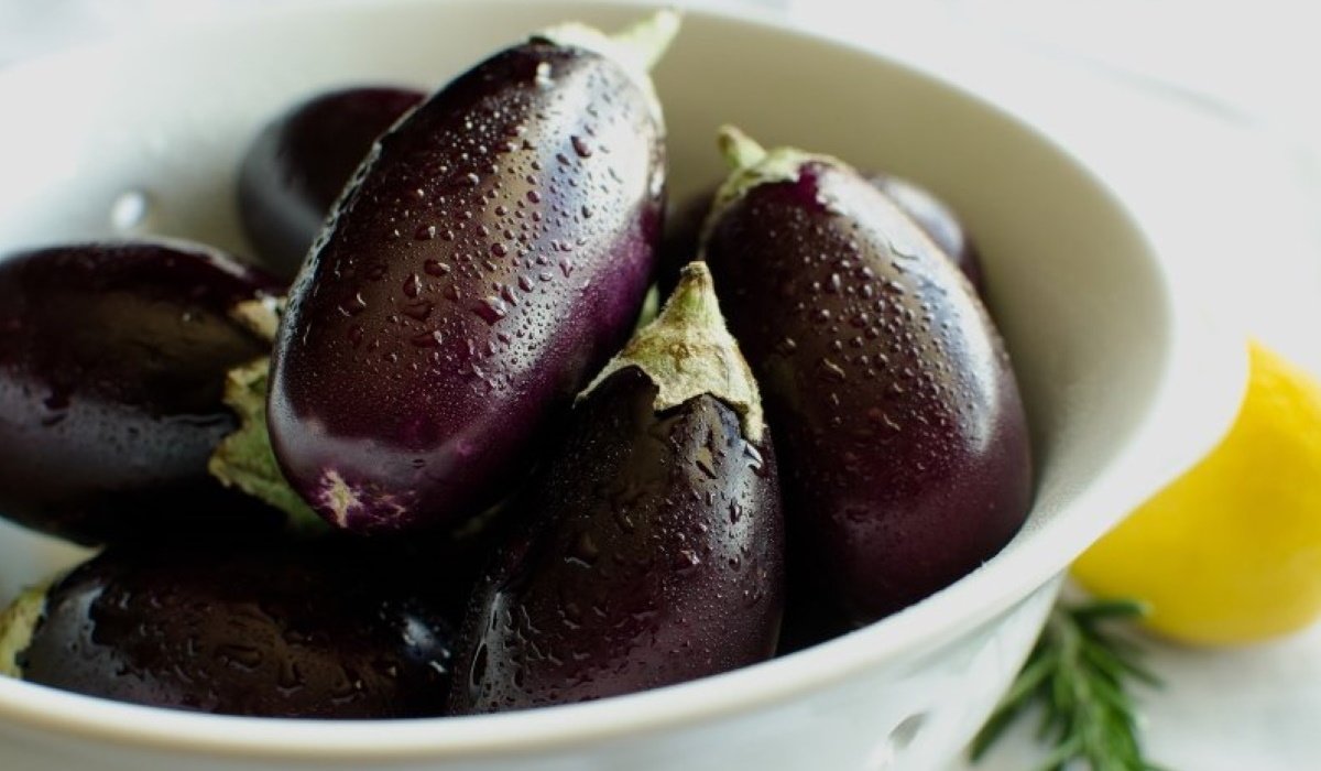  патладжани 