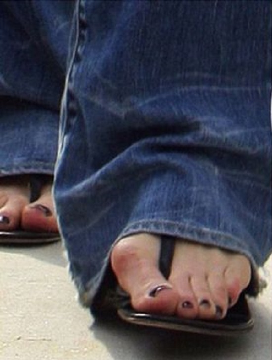  краката на звездите 