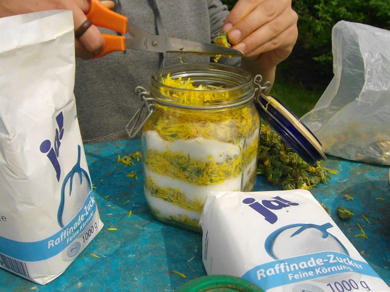 глухарче със захар