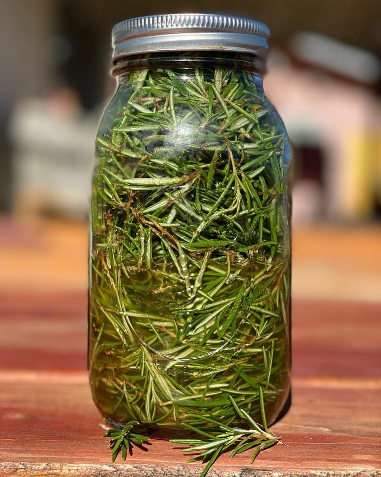 буркан розмарин