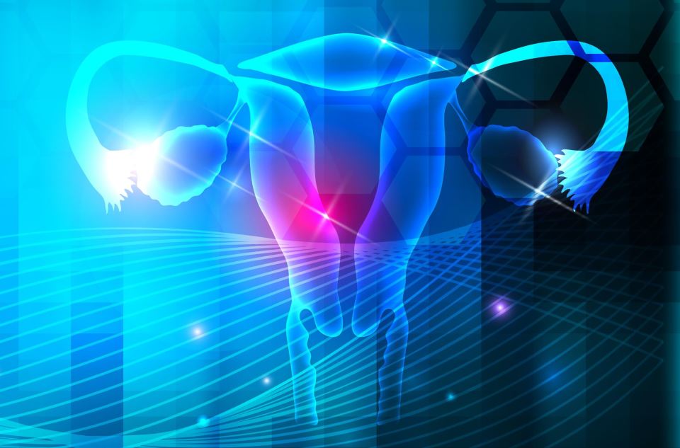 женска плодовитост