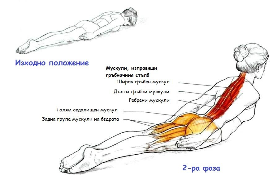 Упражнение за изправяне на гръбнака