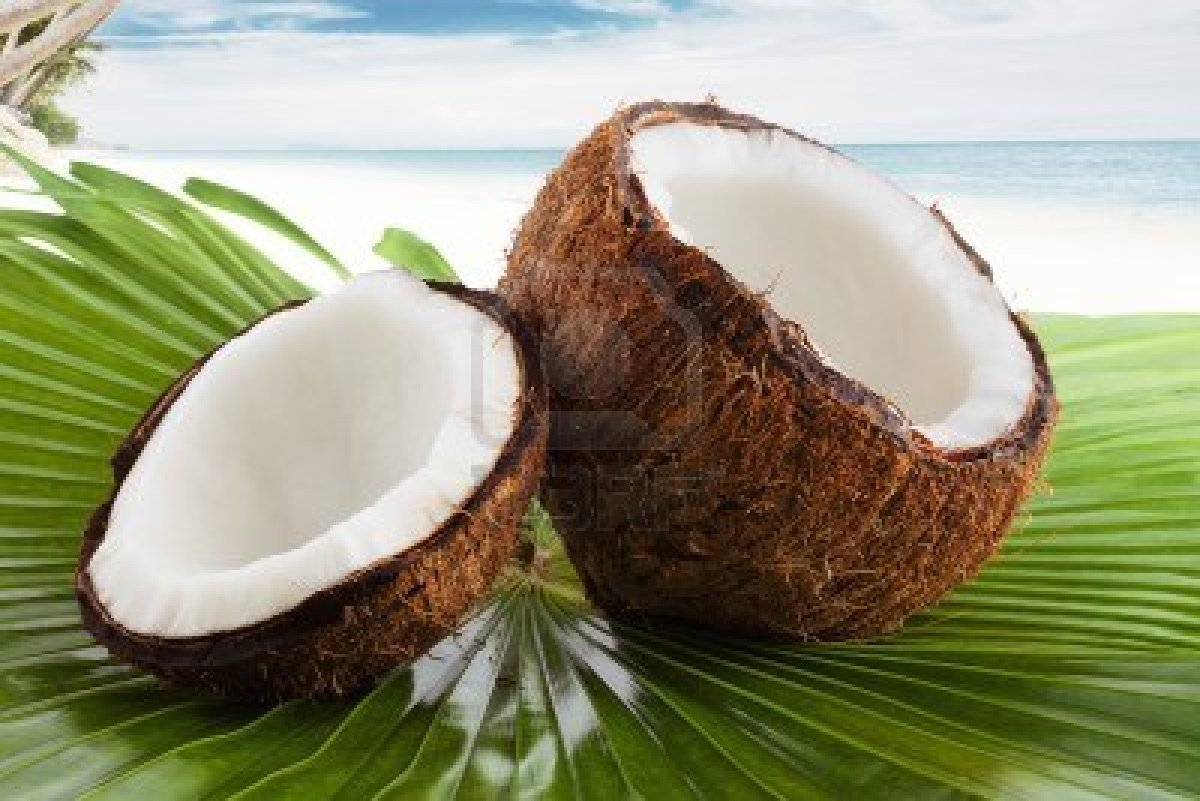 полезните свойства на кокосовия орех