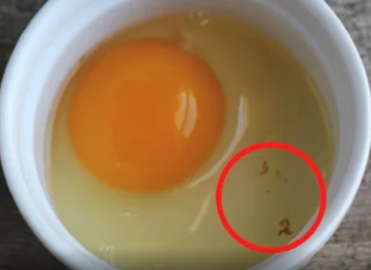 кафяви петна в яйцето