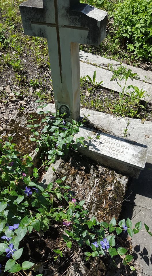 гробът на Невена Коканова
