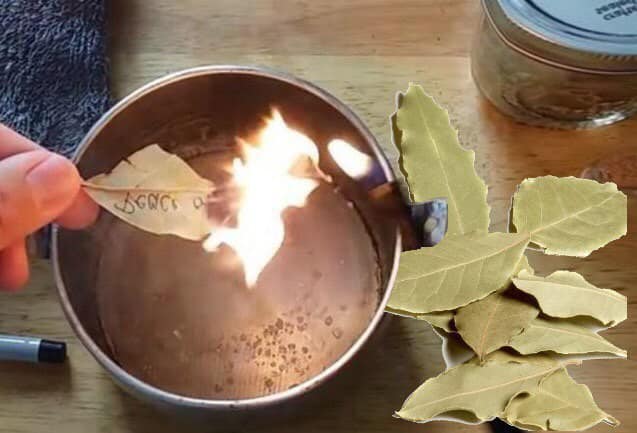 изгаряне дафинов лист