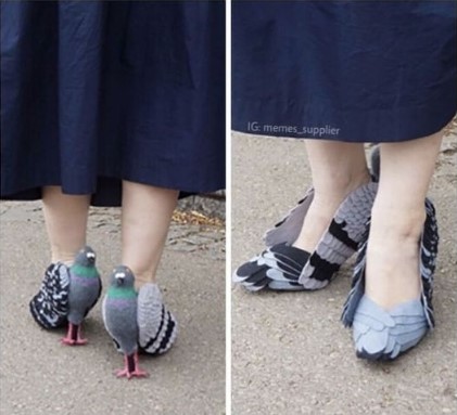 обувки птици